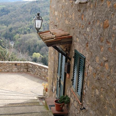 Emily House Montecerboli Exterior photo