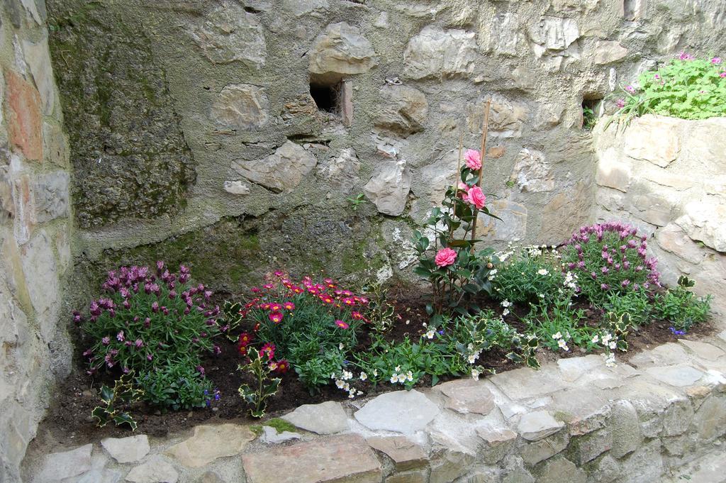 Emily House Montecerboli Exterior photo